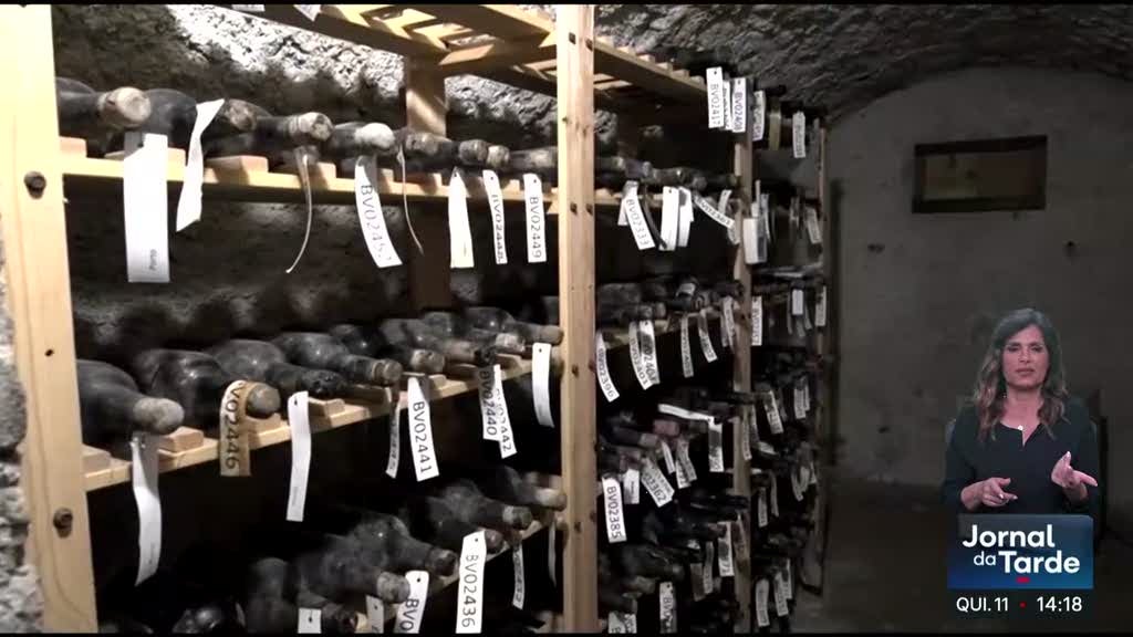 Vinho do século XIX encontrado em castelo checo