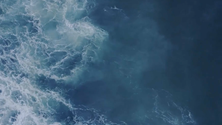 Imagem de Cientistas avaliam stocks de peixe dos Açores (Vídeo)