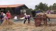 Imagem de Gaula recebe candidaturas de pessoas que queiram plantar trigo (áudio)