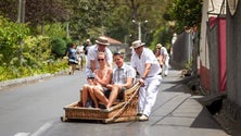 Imagem de Hoteleiros defendem mais voos para a Madeira