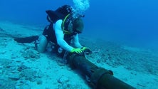 Imagem de Gestão dos cabos submarinos que ligam a Madeira e os Açores vai ficar a cargo da IP Telecom (Vídeo)