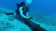 Imagem de Gestão dos cabos submarinos que ligam a Madeira e os Açores vai ficar a cargo da IP Telecom (Vídeo)