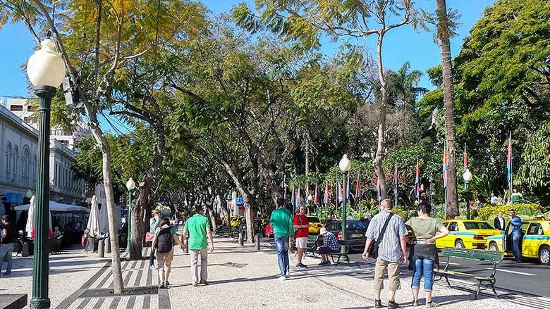 Alterações à circulação rodoviária no Funchal