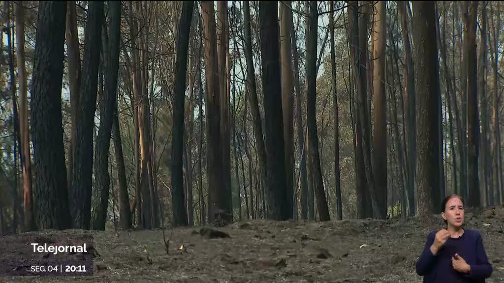 Já foi dominado o incêndio de Amarante