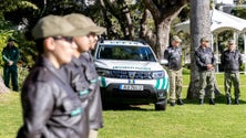 Imagem de Guardas Florestais equiparados aos do continente (áudio)