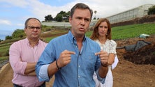 Imagem de CDS insiste na defesa dos produtos regionais