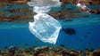 Fundação Oceano Azul em campanha de recolha de lixo (áudio)