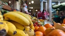 Imagem de Um milhão de euros em frutas e legumes da Madeira (áudio)