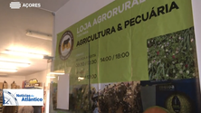 Imagem de Agricultura: Açores e Cabo Verde cooperam (Vídeo)