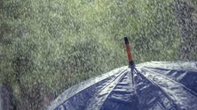 Imagem de Madeira afetada pela depressão Filomena