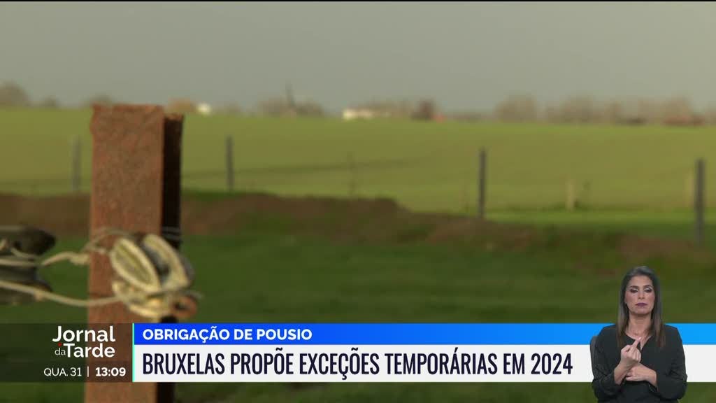 Bruxelas propõe limitação de importações de bens agroalimentares da Ucrânia