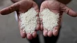 Imagem de Preços mundiais do arroz atingiram em agosto máximo dos últimos 15 anos