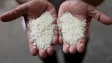 Preços mundiais do arroz atingiram em agosto máximo dos últimos 15 anos