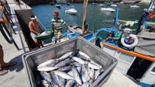 Imagem de Pescadores revoltados com a falta de uma grua (vídeo)