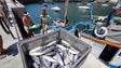 Imagem de Pescadores revoltados com a falta de uma grua (vídeo)