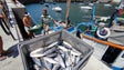 Pescadores revoltados com a falta de uma grua (vídeo)