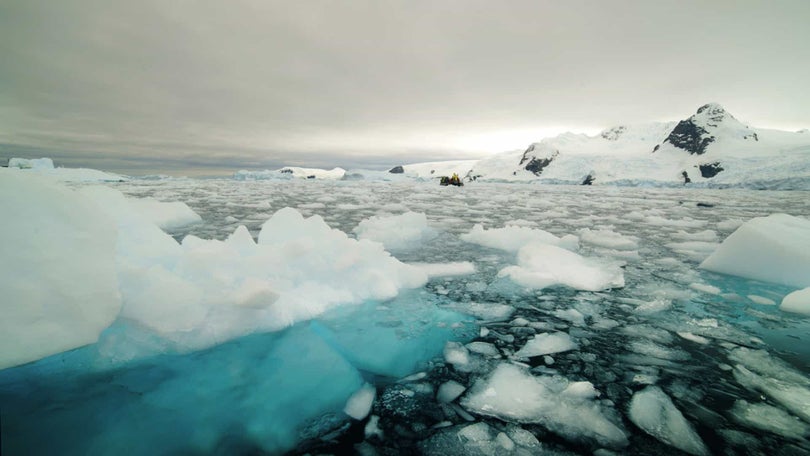 Imagem de Parte da calota polar da Gronelândia rompeu-se no nordeste do Ártico