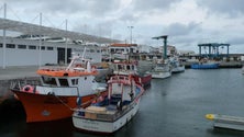 Imagem de Existem novas regras de apoio aos pescadores (Vídeo)