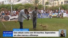Imagem de “Mostra Canina” contou com 50 participantes