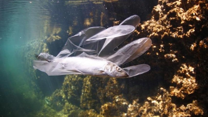 Imagem de Mediterrâneo com 3.760 toneladas de plástico a flutuar