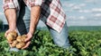 Madeira defende apoio a fundo perdido para agricultura (Áudio)