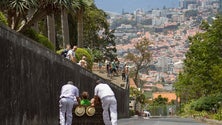 Madeira distinguida internacionalmente