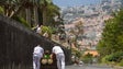 Imagem de Madeira distinguida internacionalmente