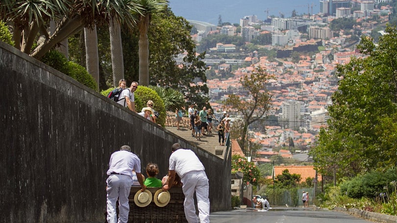 Imagem de Madeira distinguida internacionalmente