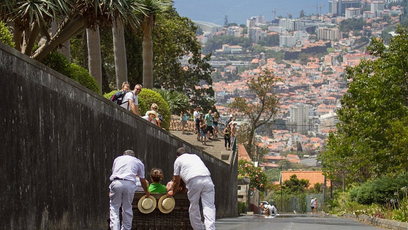 Madeira distinguida internacionalmente