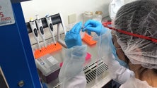 Imagem de Covid-19: Portugal realizou cerca de 1,3 milhões de testes desde março
