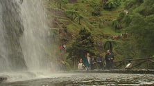 Imagem de Tremor: Concerto surpresa leva público à Ribeira dos Caldeirões (Vídeo)
