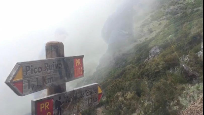 Imagem de Dois jovens perdidos nas serras da Madeira