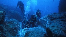 Imagem de Fundação quer preservar o mar dos Açores