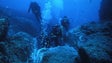Imagem de Fundação quer preservar o mar dos Açores