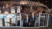 Imagem de Marcelo Rebelo de Sousa visitou o Museu da Baleia de New Bedford (Vídeo)