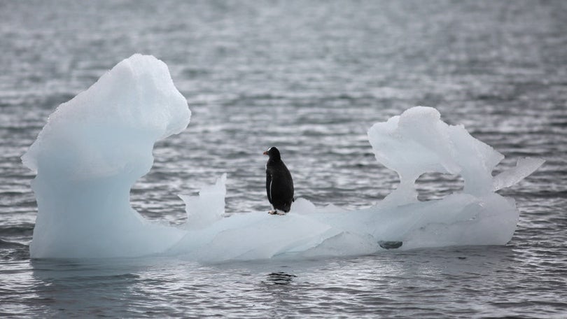 Imagem de Clima com mais problemas em 2020