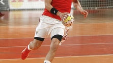 Imagem de Madeira SAD perdeu contra o Benfica por 38-24