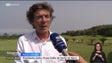 Imagem de Paulo Sousa é o novo presidente do Clube de Golfe do Santo da Serra (vídeo)