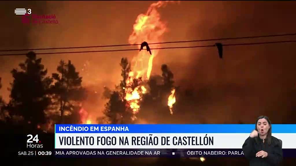Violento incêndio em Espanha já destruiu quatro mil hectares