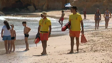 Imagem de Morreram 88 pessoas por afogamento em Portugal (vídeo)