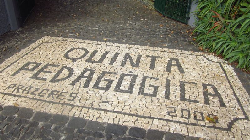 Imagem de Quinta Pedagógica dos Prazeres conquista medalha de ouro no Concurso de Frutos Secos
