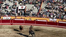 Imagem de Praça da ilha Terceira recebe primeira corrida das Sanjoaninas (Vídeo)