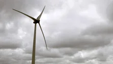 Imagem de Energia eólica com «recorde» de produção diária de 106,7 GWh em 16 de janeiro