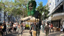 Imagem de Câmara do Funchal vai fazer um inquérito junto dos livreiros (vídeo)