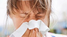 Imagem de Menos casos de gripe A e B na Madeira (Áudio)