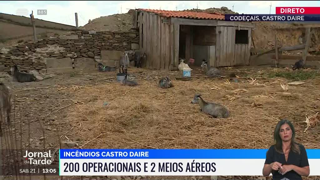 Duzentos operacionais e dois meios aéreos mantém-se em Castro Daire