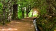Imagem de Reaberto percurso pedestre Levada do Caldeirão Verde