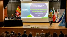 Imagem de Polémica em torno dos professores está a dar `uma ideia errada` destes profissionais