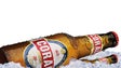 Imagem de Exportação de cerveja para a China aumenta 20% este ano