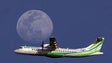 Imagem de Binter lança viagens para Canárias e Marrocos a partir de 72,65 euros